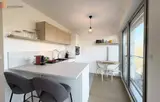 Miniature 25