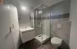 Miniature 6