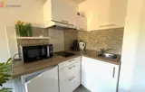Miniature 10