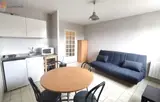 Miniature 14