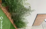 Miniature 16