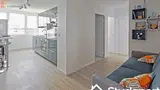 Miniature 45