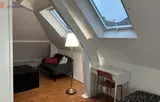 Miniature 0