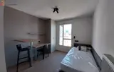 Miniature 21