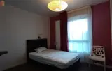 Miniature 7
