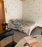 Miniature 0