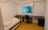 Miniature 17