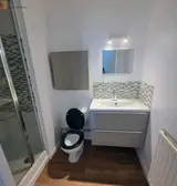 Miniature 8