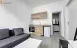 Miniature 7