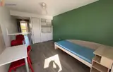 Miniature 27
