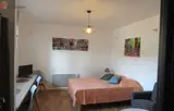 Miniature 7