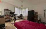 Miniature 9