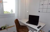 Miniature 9