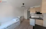 Miniature 9