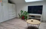 Miniature 21