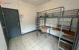 Miniature 11
