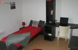 Miniature 3
