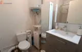 Miniature 9