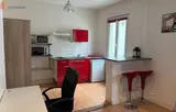 Miniature 16