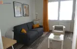 Miniature 11