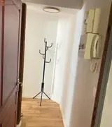 Miniature 24