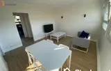 Miniature 13