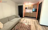 Miniature 0