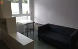 Miniature 16