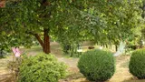 Miniature 5