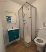 Miniature 25