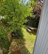 Miniature 4