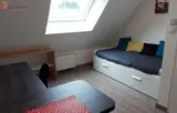 Miniature 9