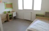 Miniature 16