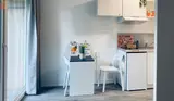 Miniature 4