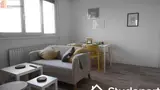 Miniature 4