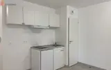 Miniature 4