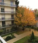 Miniature 2