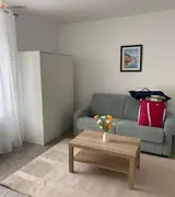 Miniature 0