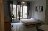 Miniature 0