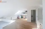 Miniature 0