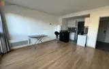 Miniature 0