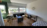 Miniature 0