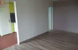 Miniature 10