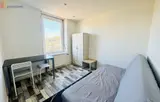 Miniature 9