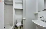 Miniature 3