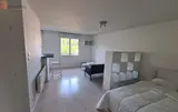Miniature 8