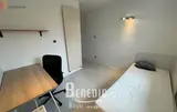 Miniature 11