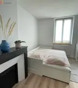 Miniature 4