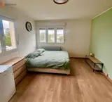 Miniature 0