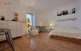 Miniature 19